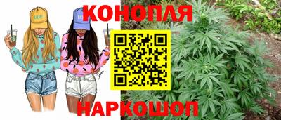 первитин Камышлов